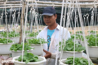 Chuyển đổi xanh là yếu tố sống còn, giúp định hình tương lai bền vững