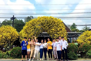 Độc đáo cổng rào làm bằng 2 cây mai vàng 30 năm tuổi