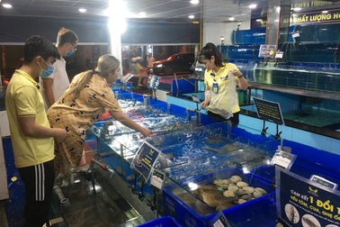 TPHCM: Chuỗi hải sản tươi sống “mọc như nấm sau mưa”, dù lỗ cũng cố cầm cự