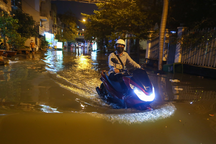 Đỉnh triều cường cuối tháng 10: TPHCM chỉ đạo ứng phó khẩn