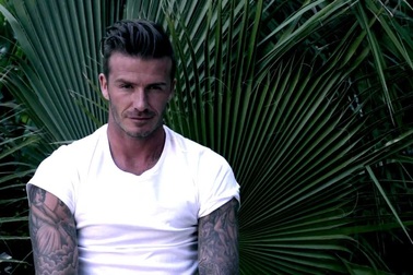 David Beckham trong một buổi chụp hình thời trang
