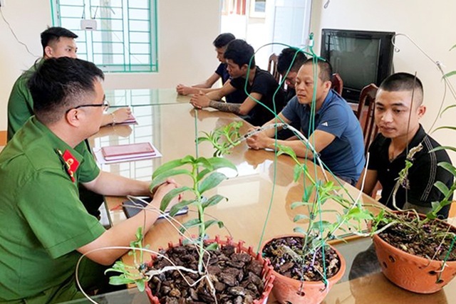 Lan đột biến hay lan đột quỵ mà khiến kẻ bán nhà, người ôm nợ? - 6 Lan đột biến hay lan đột quỵ mà khiến kẻ bán nhà, người ôm nợ? - 6