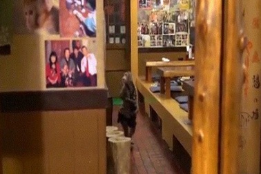 Khỉ làm việc như người ở nhà hàng Nhật Bản