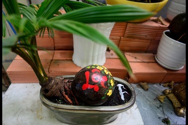 Độc đáo dừa thư pháp chưng Tết Canh Tý 2020