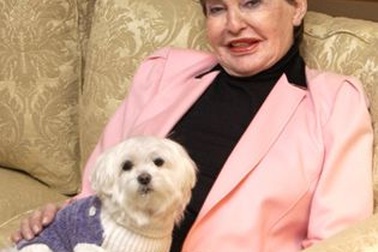 Con chó thừa kế 12 triệu USD qua đời