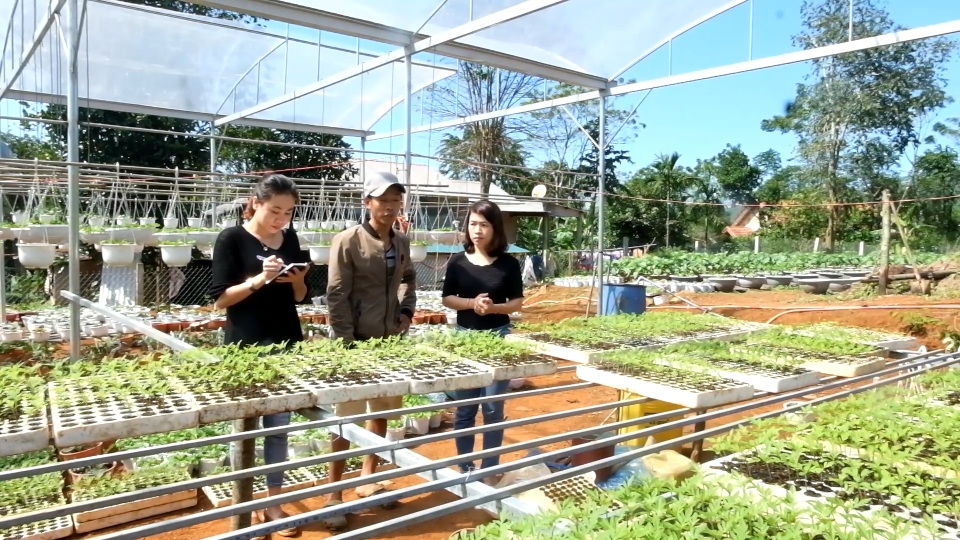 Trồng hơn 8.000 chậu hoa, đôi vợ chồng trẻ kỳ vọng kiếm trăm triệu đồng dịp Tết - 11 Trồng hơn 8.000 chậu hoa, đôi vợ chồng trẻ kỳ vọng kiếm trăm triệu đồng dịp Tết - 11