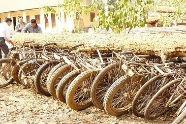 Tiêu hủy hàng trăm “siêu xe” chở gỗ của lâm tặc