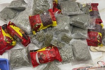 Triệt phá chuyên án ma tuý, thu giữ hơn 2 tạ cần sa