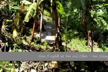 Gan lì nghề xe ôm núi Cấm - An Giang