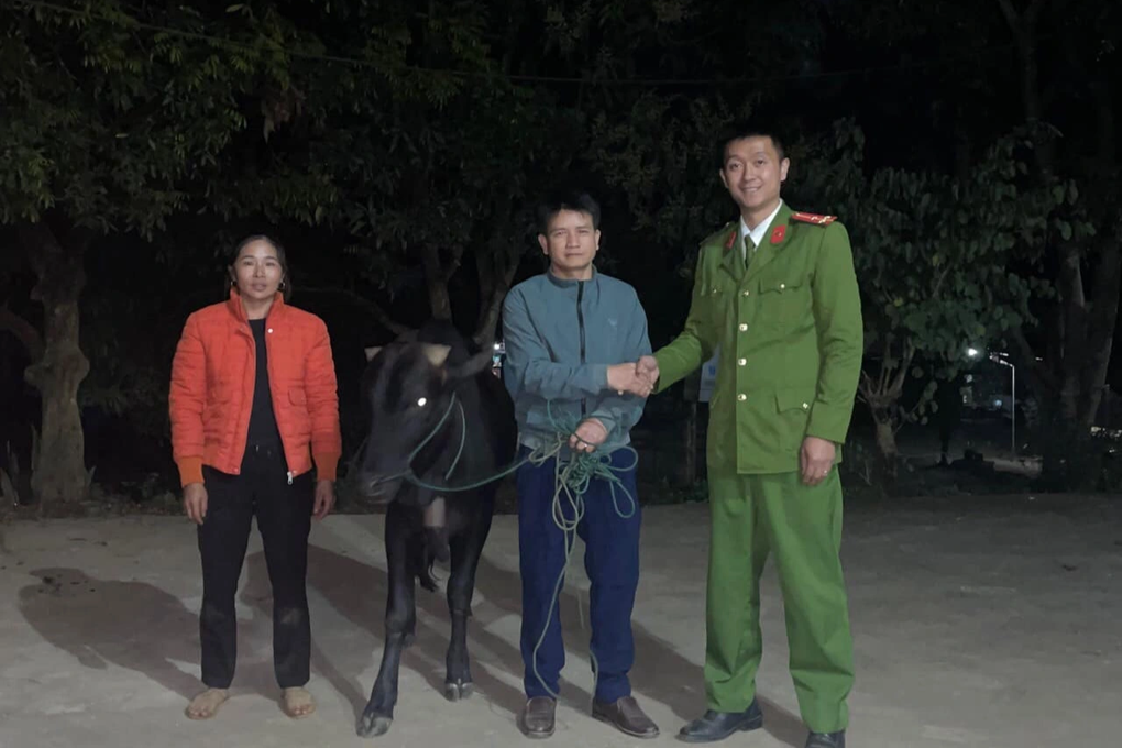 Người đàn ông 60 tuổi mang 3 tiền án vẫn đi bắt trộm bò - 2 Người đàn ông 60 tuổi mang 3 tiền án vẫn đi bắt trộm bò - 2