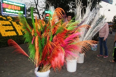 Đào, mai giá đắt, hoa dân dã được lòng khách mua