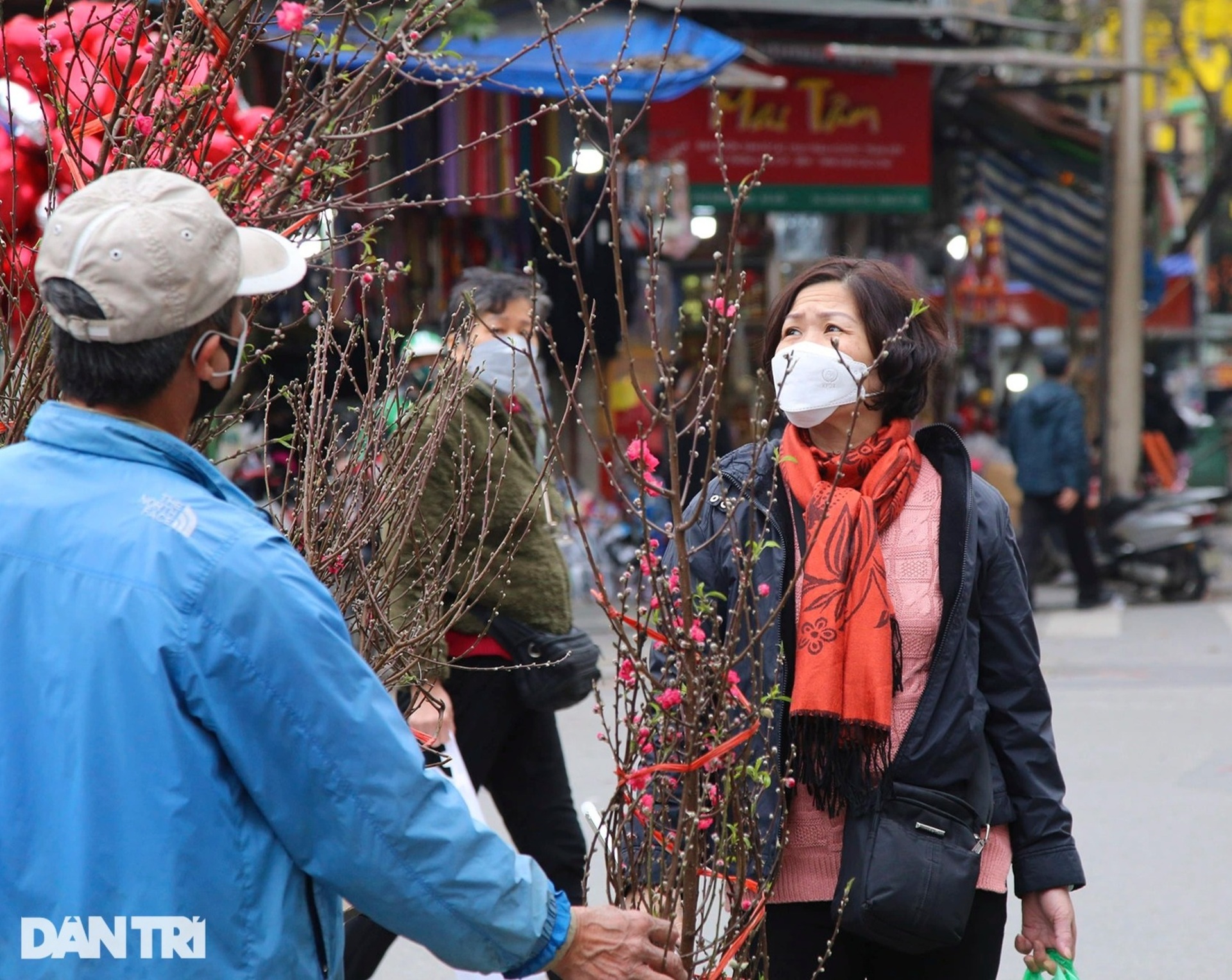 Đào cuối vụ ở Hà Nội đắt khách dịp rằm tháng Giêng - 3 Đào cuối vụ ở Hà Nội đắt khách dịp rằm tháng Giêng - 3