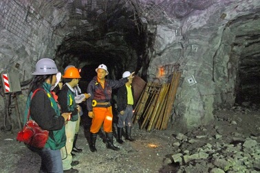 Chịu thua 2 công ty vàng nợ thuế 354 tỉ đồng?