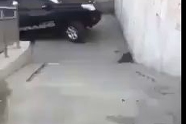 Màn thể hiện sức mạnh của xe gầm cao và dẫn động 4 bánh