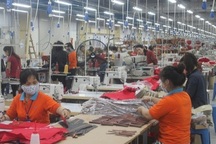 Hơn 1.000 doanh nghiệp nợ bảo hiểm từ 3 tháng trở lên