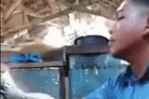 Nổi bật trong tuần: Thanh niên lĩnh cái kết đắng vì đùa giỡn với trăn