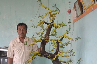 Gặp người có được cây phong ba ở Hoàng Sa