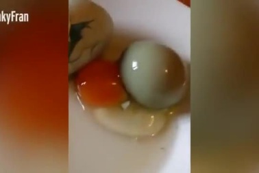 Giật mình khi thấy trứng nở ra trứng