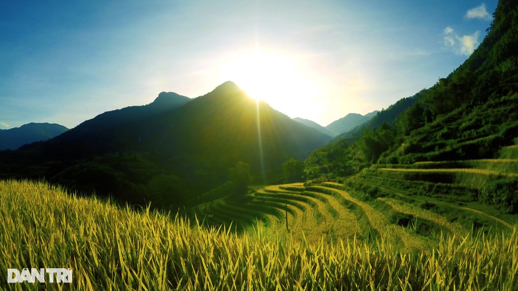 Mùa lúa chín Hoàng Su Phì - đã đi là không muốn về! - 4 Mùa lúa chín Hoàng Su Phì - đã đi là không muốn về! - 4