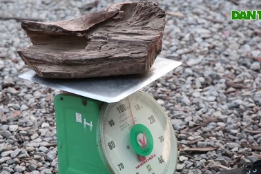 Chợ "củi" có giá tiền triệu một cân
