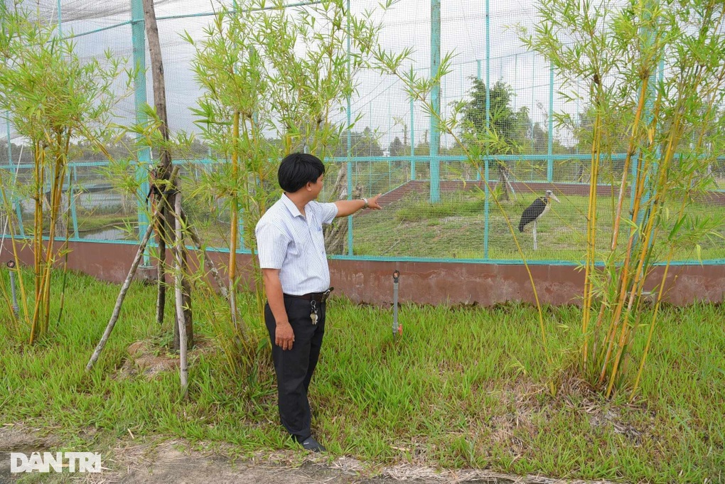 Kỳ vọng những đàn sếu đầu đỏ sẽ ở lại sinh sản trên ruộng lúa Đồng Tháp - 2 Kỳ vọng những đàn sếu đầu đỏ sẽ ở lại sinh sản trên ruộng lúa Đồng Tháp - 2