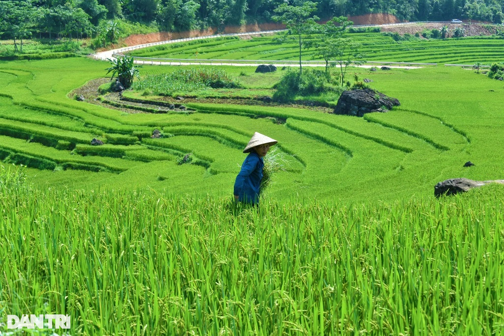 Vẻ đẹp hút hồn ở Pù Luông nơi được mệnh danh là thiên đường giữa đại ngàn - 8 Vẻ đẹp hút hồn ở Pù Luông nơi được mệnh danh là thiên đường giữa đại ngàn - 8