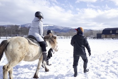 Tận hưởng hương vị mùa đông ở Dōnan