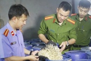 Phát hiện gần 6.000 cơ sở vi phạm an toàn thực phẩm trong 6 tháng