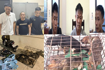 Nhóm "cẩu tặc" 8 ngày trộm gần 100 con chó