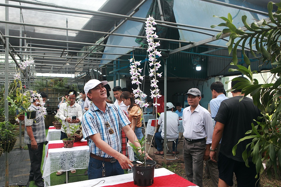 Chiêm ngưỡng những giỏ hoa lan đột biến hiếm có giá hàng trăm triệu - 5 Chiêm ngưỡng những giỏ hoa lan đột biến hiếm có giá hàng trăm triệu - 5