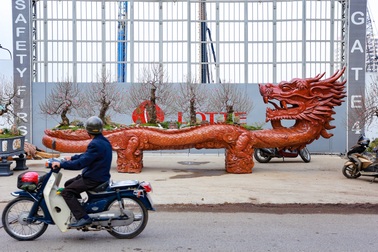 Chậu đào “khổng lồ” hình rồng ôm núi giá 1 tỷ đồng ở Hà Nội có gì đặc biệt?