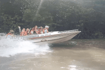 Trải nghiệm ca nô "xé nước" xuyên rừng, thăm Mũi Cà Mau