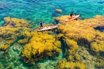 Dự án tỷ đô thúc đẩy du lịch Quy Nhơn thăng hoa