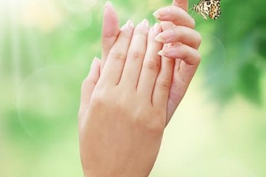 Cấu tạo kỳ diệu của đôi bàn tay