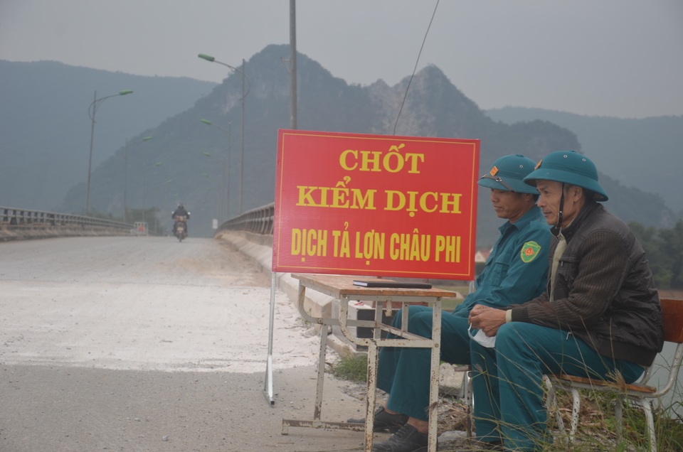 Người chăn nuôi thấp thỏm khi đàn lợn Tết đối diện nguy cơ dịch tả châu Phi - 6 Người chăn nuôi thấp thỏm khi đàn lợn Tết đối diện nguy cơ dịch tả châu Phi - 6