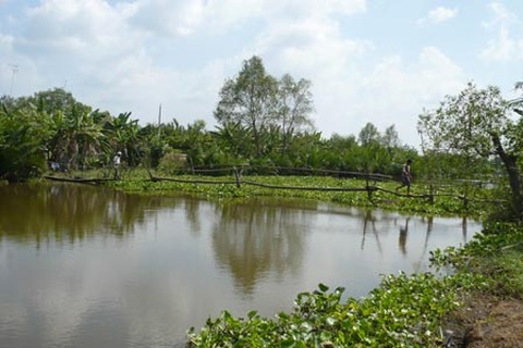 “Ước gì có một cây cầu cho tụi nhỏ đi học” 