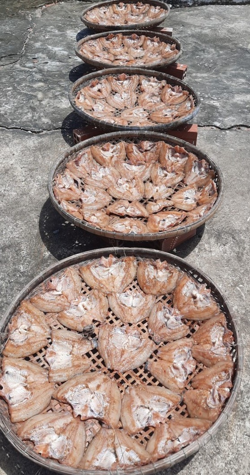 Bơi xuồng giăng lưới cá, xẻ từng con phơi khô gửi đồng hương ở vùng dịch - 7 Bơi xuồng giăng lưới cá, xẻ từng con phơi khô gửi đồng hương ở vùng dịch - 7