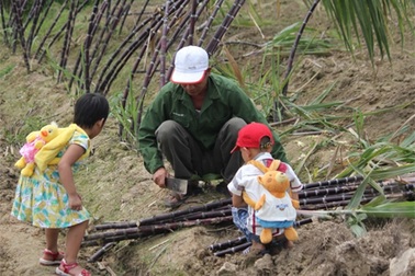 “Con đã lớn khôn” chỉ dành cho trẻ em thành thị?