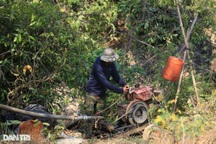 Tranh chấp nguồn nước tưới cà phê, một người bị đánh mù mắt