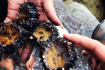 Đáng sợ loạt đặc sản ăn sống khiến khách Tây "khóc thét" ở Việt Nam