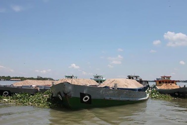 Tạm giữ nhiều sà lan chở cát lậu