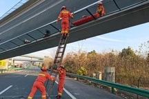 Cầu vượt cao tốc Trung Quốc bất ngờ lật nghiêng, ít nhất 3 người chết