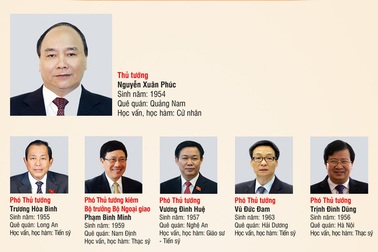 Ông Trương Hoà Bình được phân công làm Phó Thủ tướng thường trực