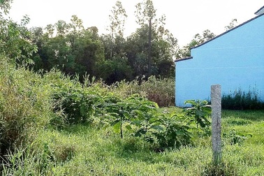 Cà Mau: Mười năm, 5 đoàn kiểm tra vẫn không giải quyết xong một vụ tranh chấp đất!