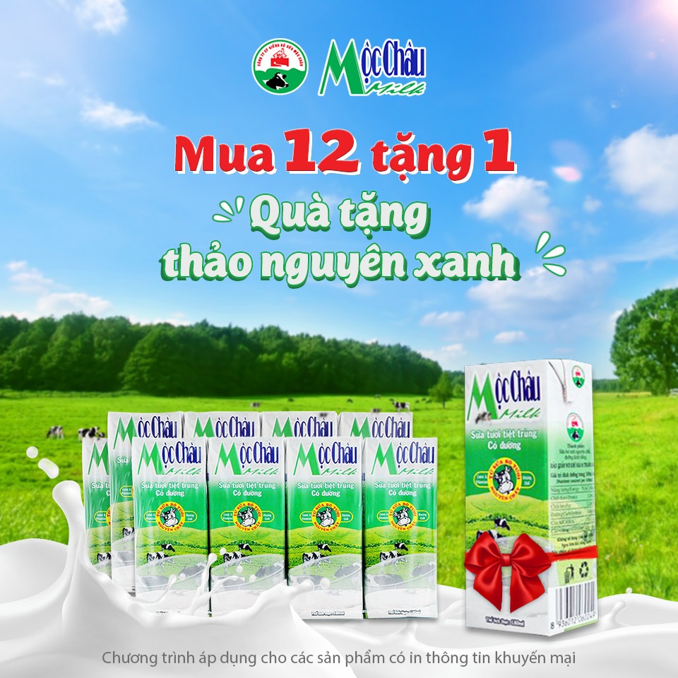 Quà tặng từ thảo nguyên Mộc Châu tới mọi nhà - 3 Quà tặng từ thảo nguyên Mộc Châu tới mọi nhà - 3