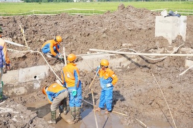 Tích cực xử lý sai phạm tại đường dây 220KV Trực Ninh - Nam Định