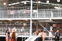 Du khách thích thú xem "cuộc đại trùng tu" Chùa Cầu Hội An