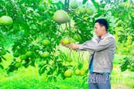 Học Bác “nói đi đôi với làm”