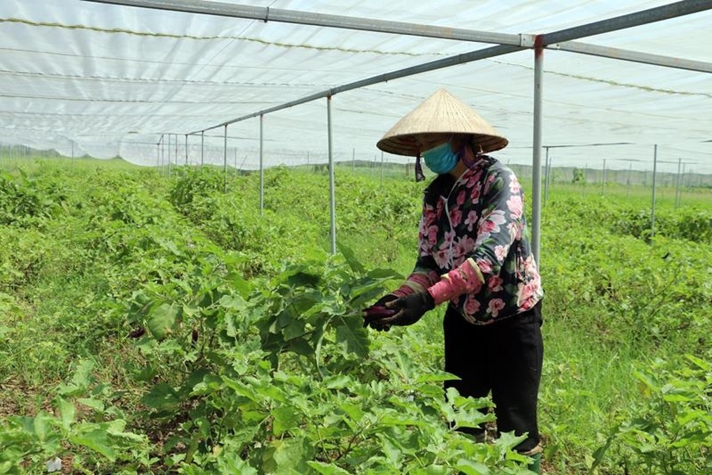 Hưng Yên: Chung sức giúp người dân thoát nghèo - 1 Hưng Yên: Chung sức giúp người dân thoát nghèo - 1