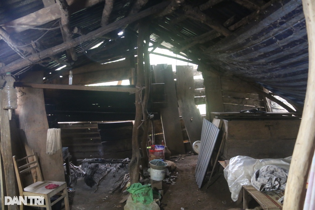 Cuộc đời buồn của người đàn ông gốc Hà Nội lang bạt vào núi rừng Tây Nguyên - 7 Cuộc đời buồn của người đàn ông gốc Hà Nội lang bạt vào núi rừng Tây Nguyên - 7